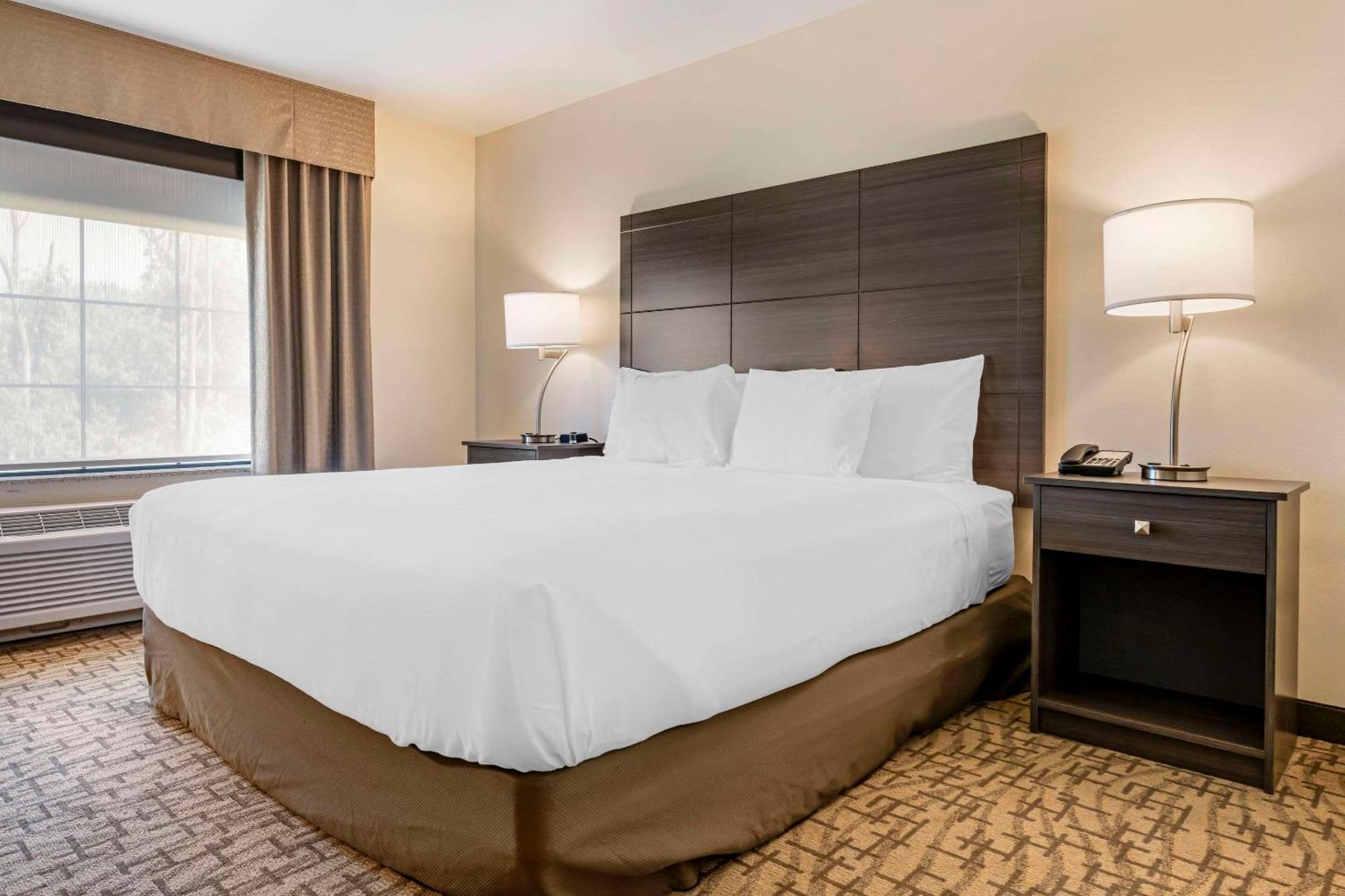 Comfort Inn&Suites Medina Eksteriør bilde